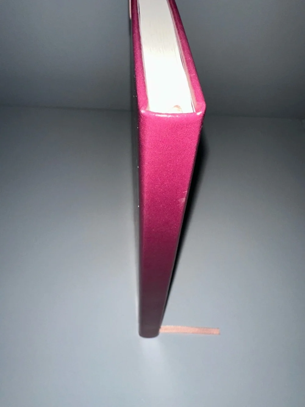 Steel Mill Burgundy Floral Pride & Prejudice Book Club Elastic Cord Journal